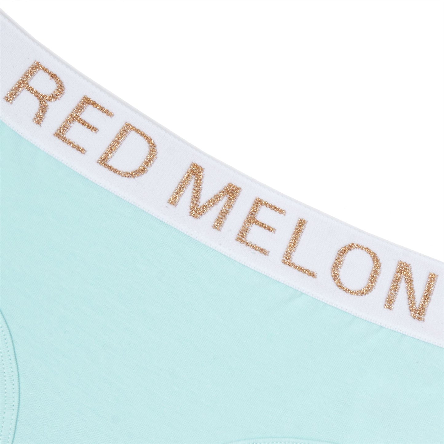 Red Melon Girls Crop Top Bra And Brief Set - Minty Aqua Red Melon