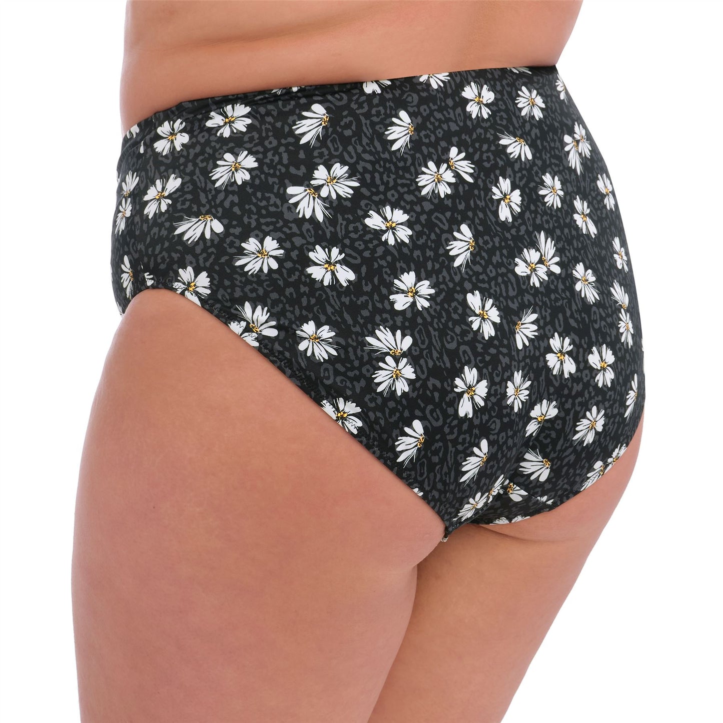 Elomi Plain Sailing Bikini Brief - Black Daisy