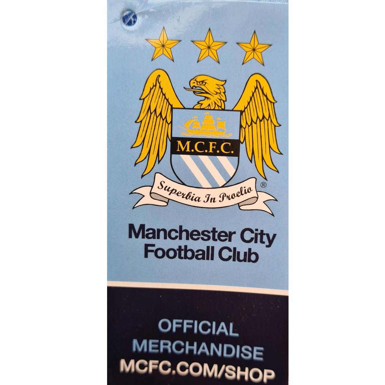 Mens Manchester City Crest Lounge Pants - Blue