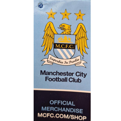 Mens Manchester City Crest Lounge Pants - Blue