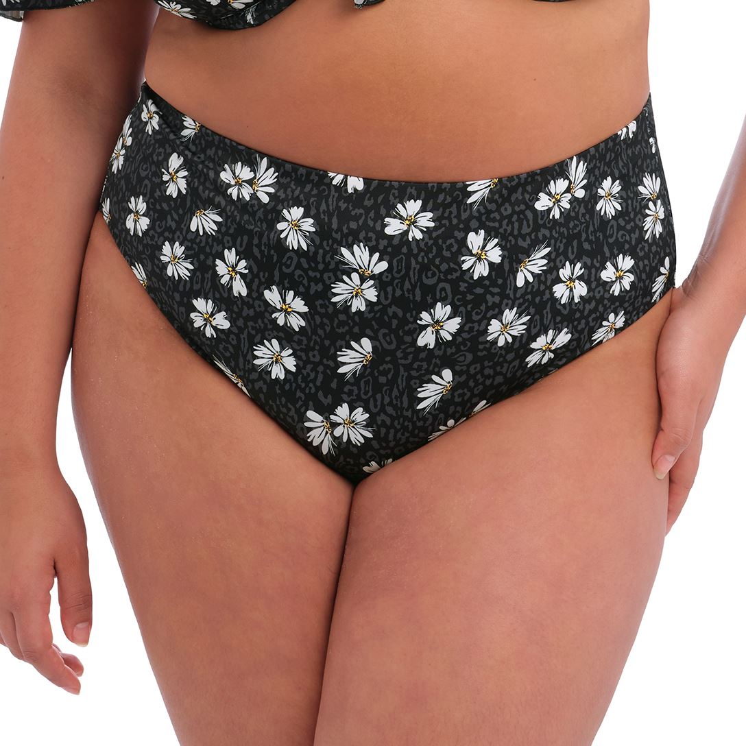 Elomi Plain Sailing Bikini Brief - Black Daisy