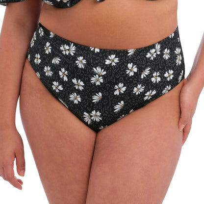 Elomi Plain Sailing Bikini Brief - Black Daisy
