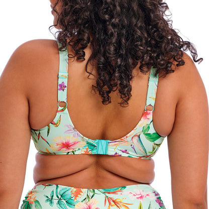 Elomi Sunshine Cove Plunge Bikini Top - Aqua