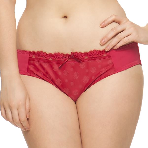 Curvy Kate Daisie Brief - Ruby Print