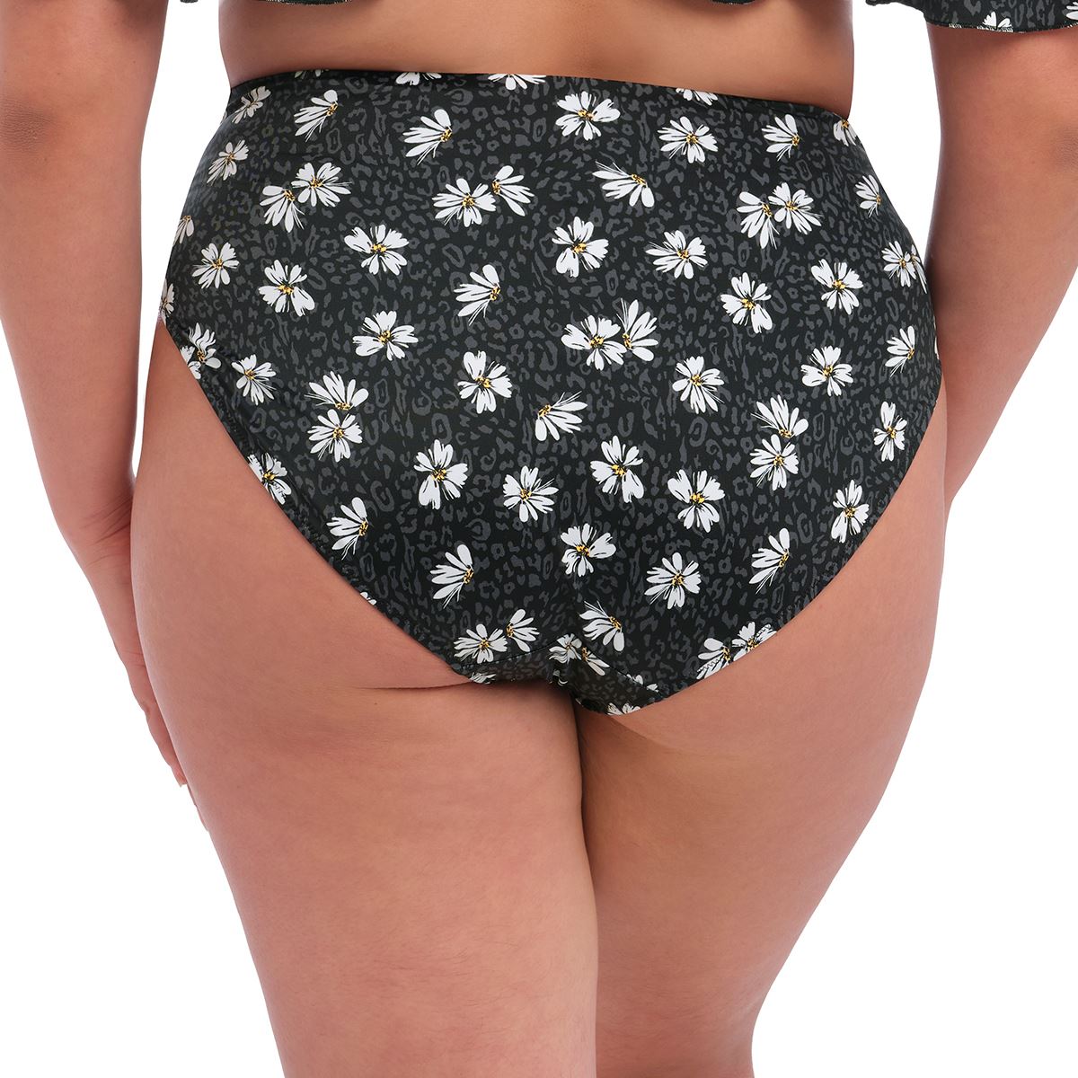 Elomi Plain Sailing Bikini Brief - Black Daisy