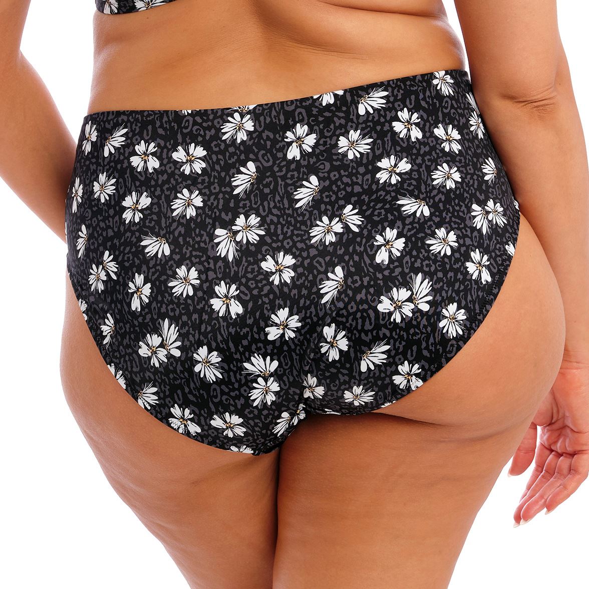 Elomi Plain Sailing Bikini Brief - Black Daisy
