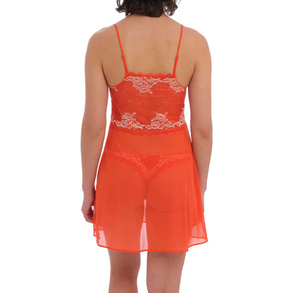 Wacoal Lace Perfection Chemise - Fiesta